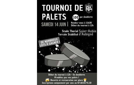 Tournoi de palets 2024-2025 !